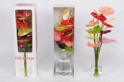 顏值與內(nèi)涵并存——GET這份“崇明版”新年伴手禮清單，讓禮品花卉傳遞新春祝福