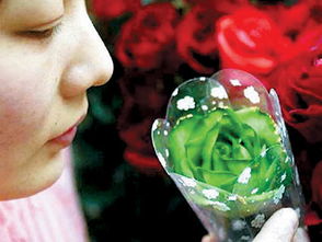 情人節(jié)玫瑰與多彩花卉禮品銷售洞察