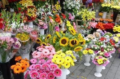 2018-2019年適合創業的20個好項目推薦 禮品花卉銷售引領潮流，年青人抓住機遇！