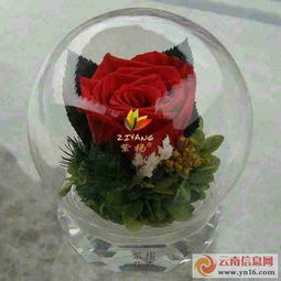 保鮮花與永生花 禮品花卉銷售的新趨勢與商機